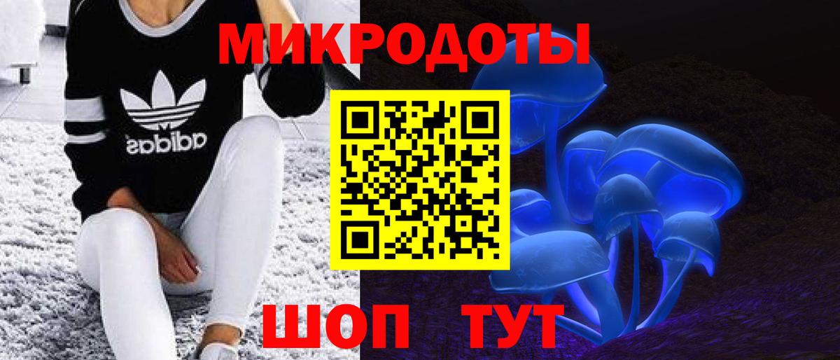 Галлюциногенные грибы Psilocybe Владикавказ