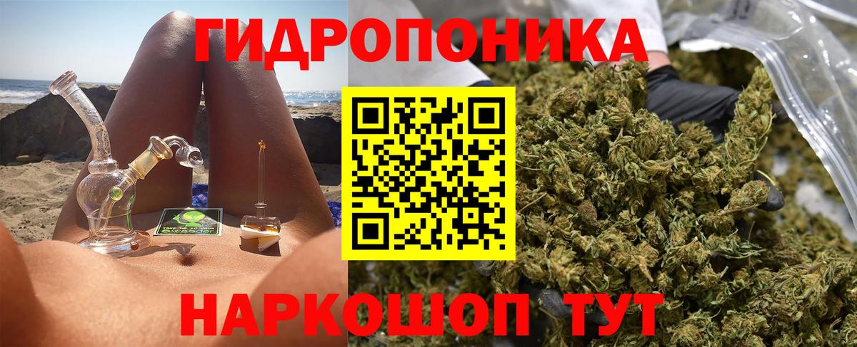 Бошки марихуана OG Kush Владикавказ